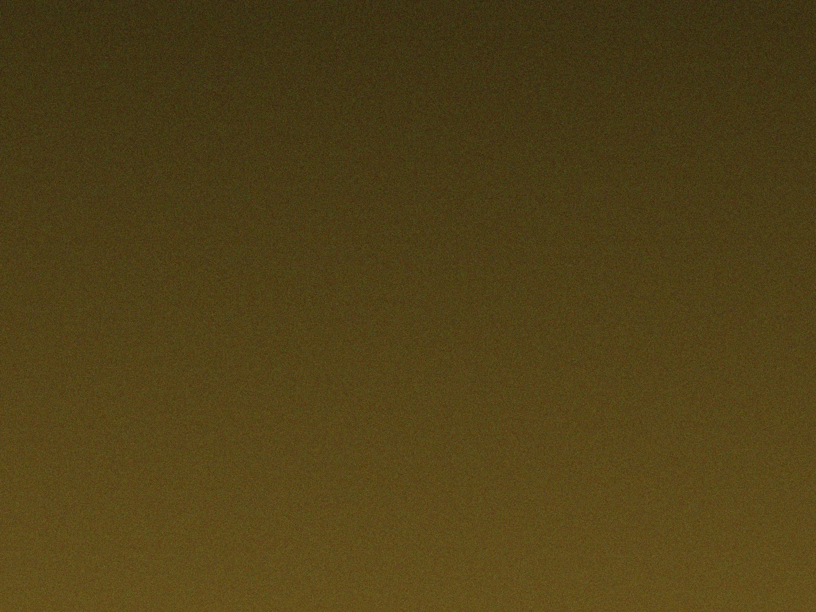 Book of Dead老虎机游戏截图